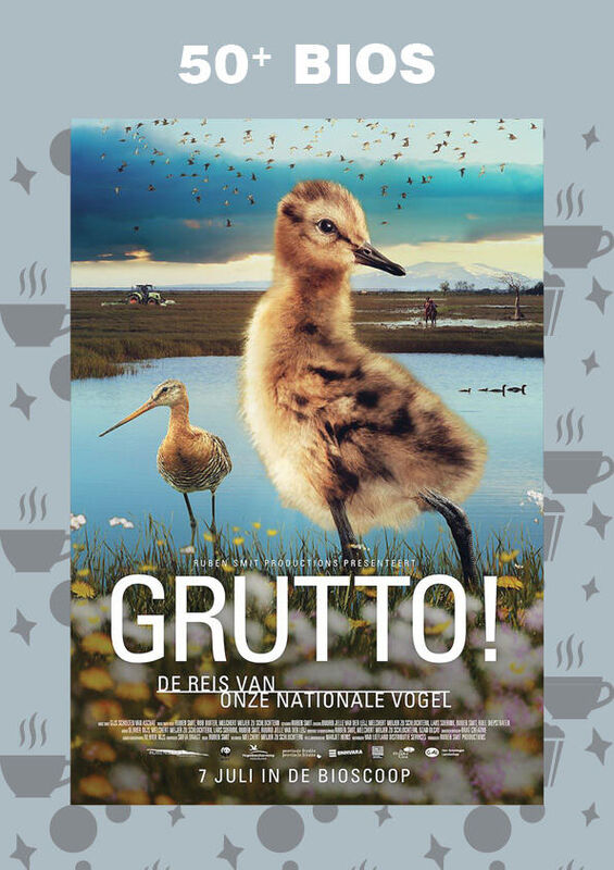 50+ bios: Grutto! De Reis van onze Nationale Vogel