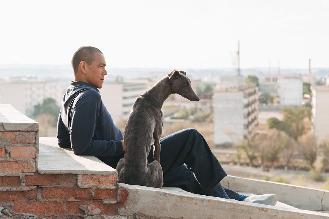 Cine+: Black Dog