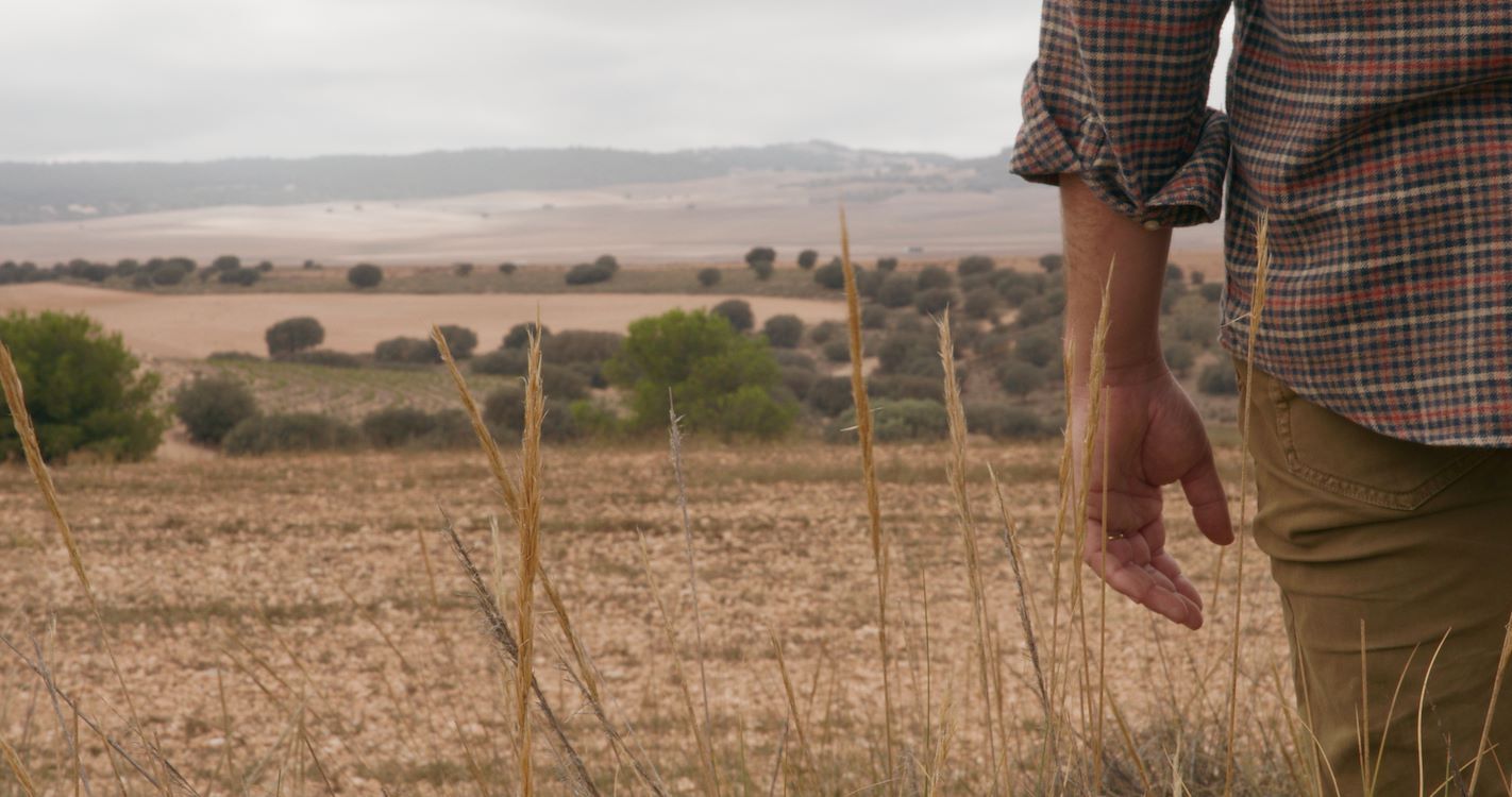 Cine+: Eat More Trees