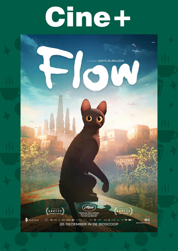 Cine+: Flow