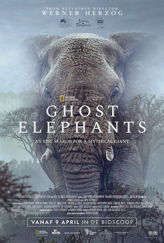 Cine+: Ghost Elephants