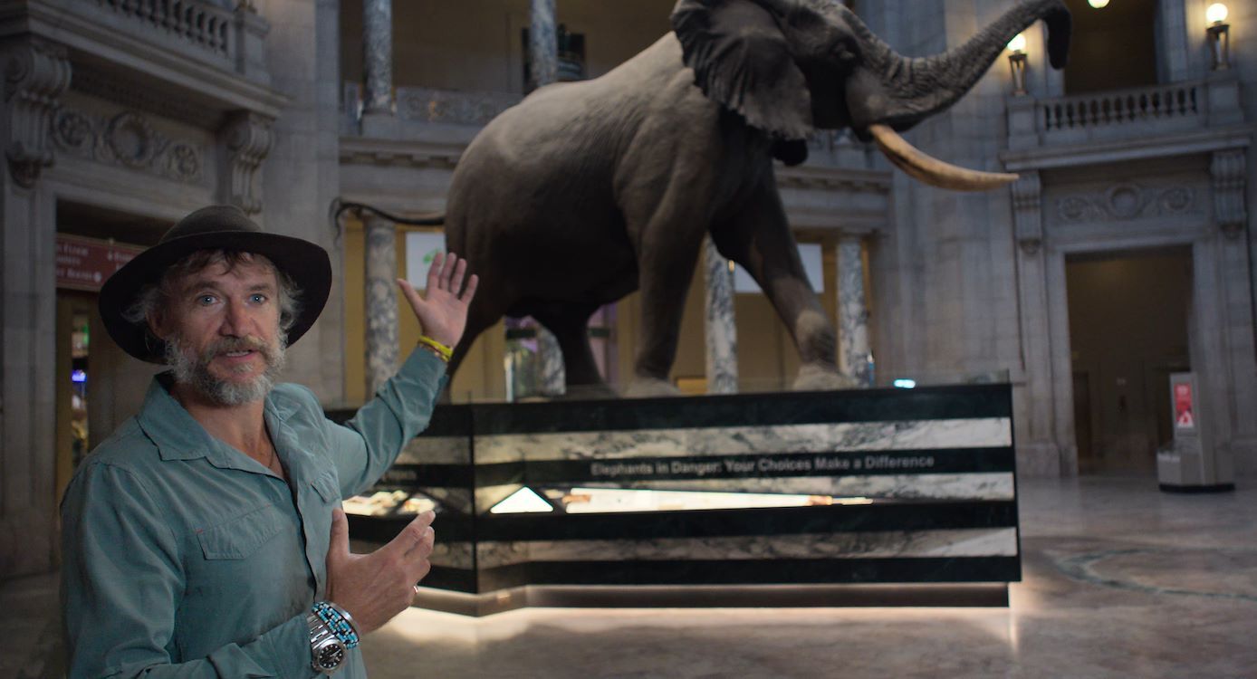 Cine+: Ghost Elephants