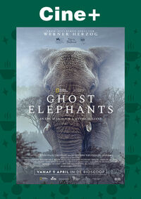 Cine+: Ghost Elephants