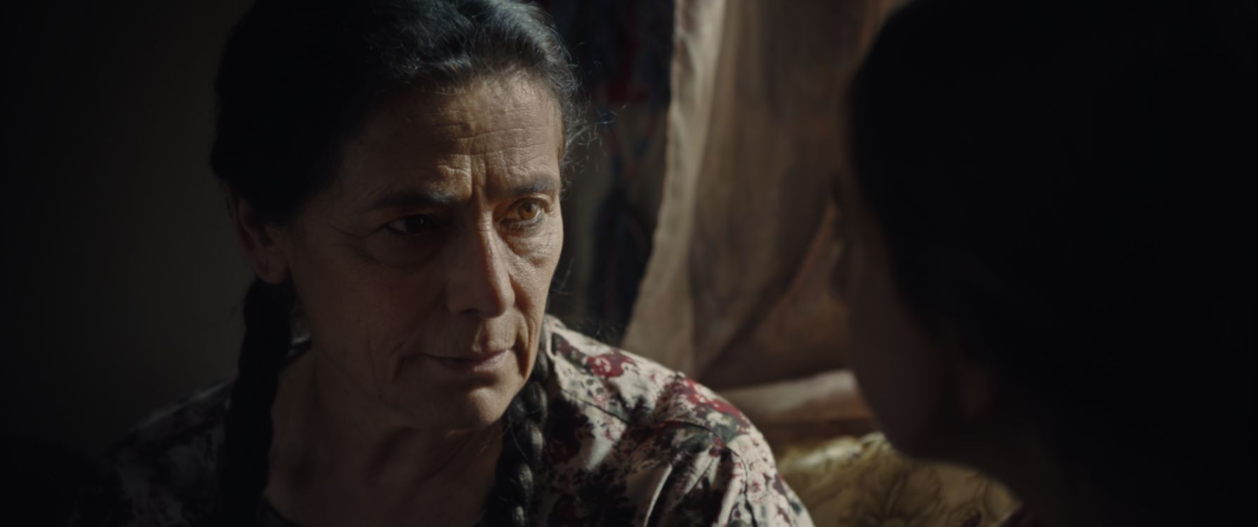 Cine+: Palestine 36