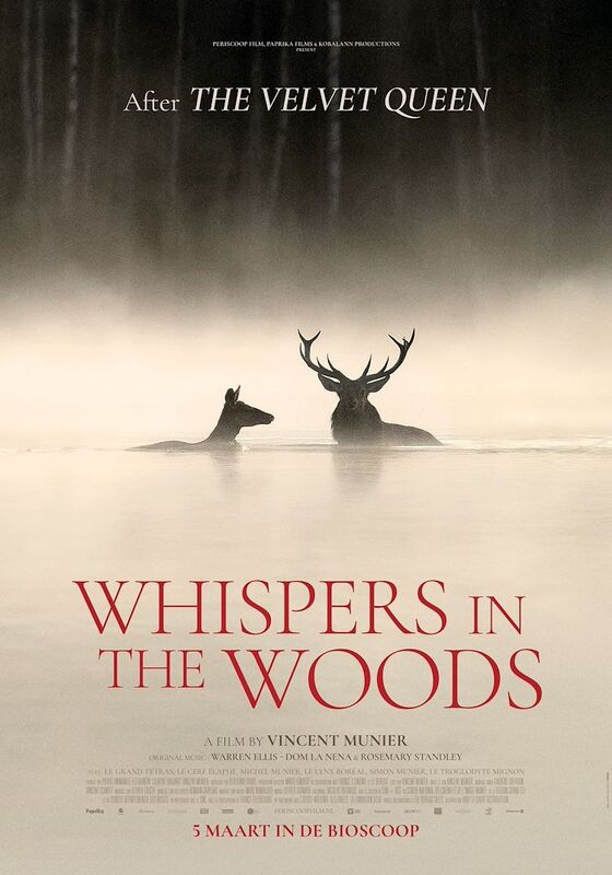 Cine+: Whispers in the Woods