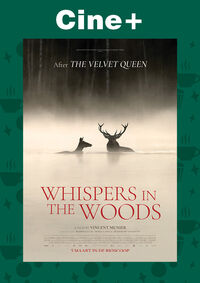 Cine+: Whispers in the Woods