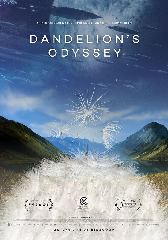 Dandelion's Odyssey