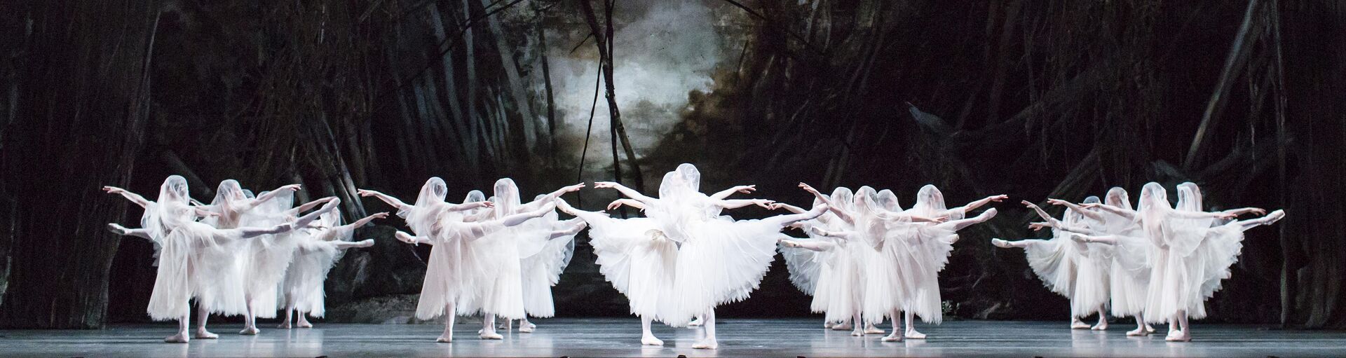 Opera & Ballet