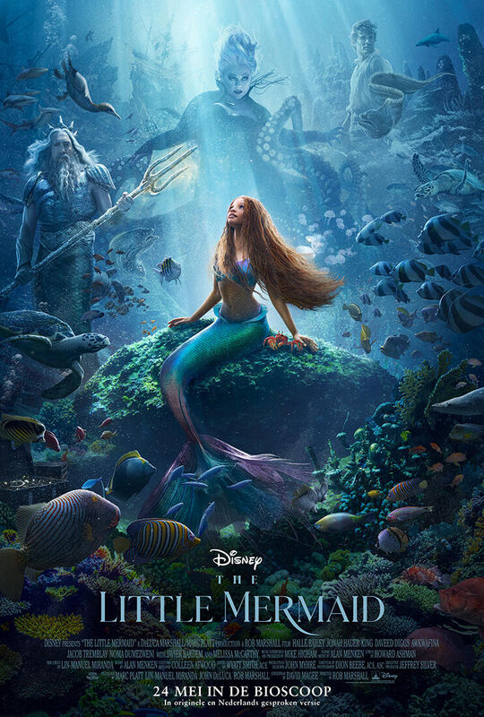 The Little Mermaid (NL versie)