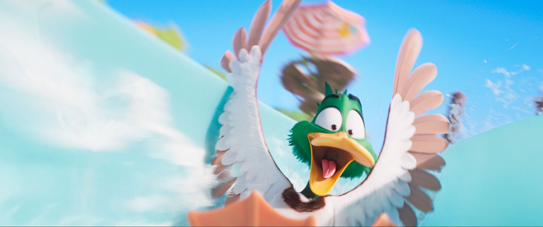 Vogelvlucht