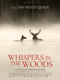 Whispers in the Woods