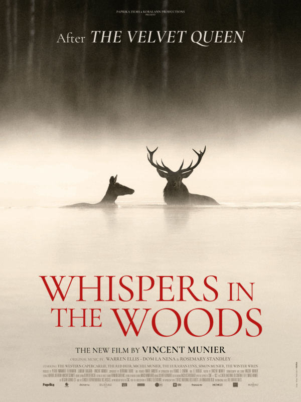 Whispers in the Woods